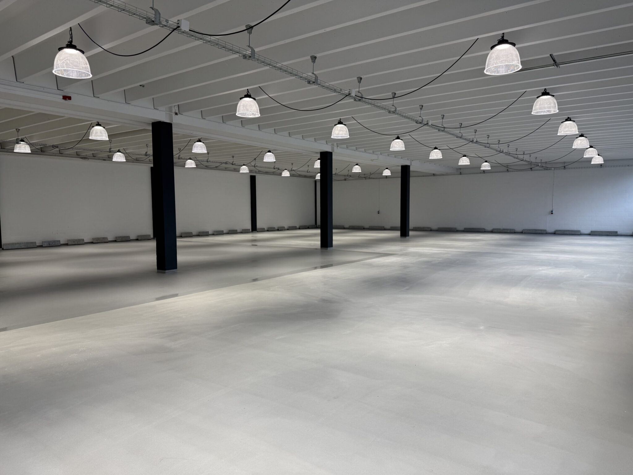 20250528_113030392_iOS-scaled