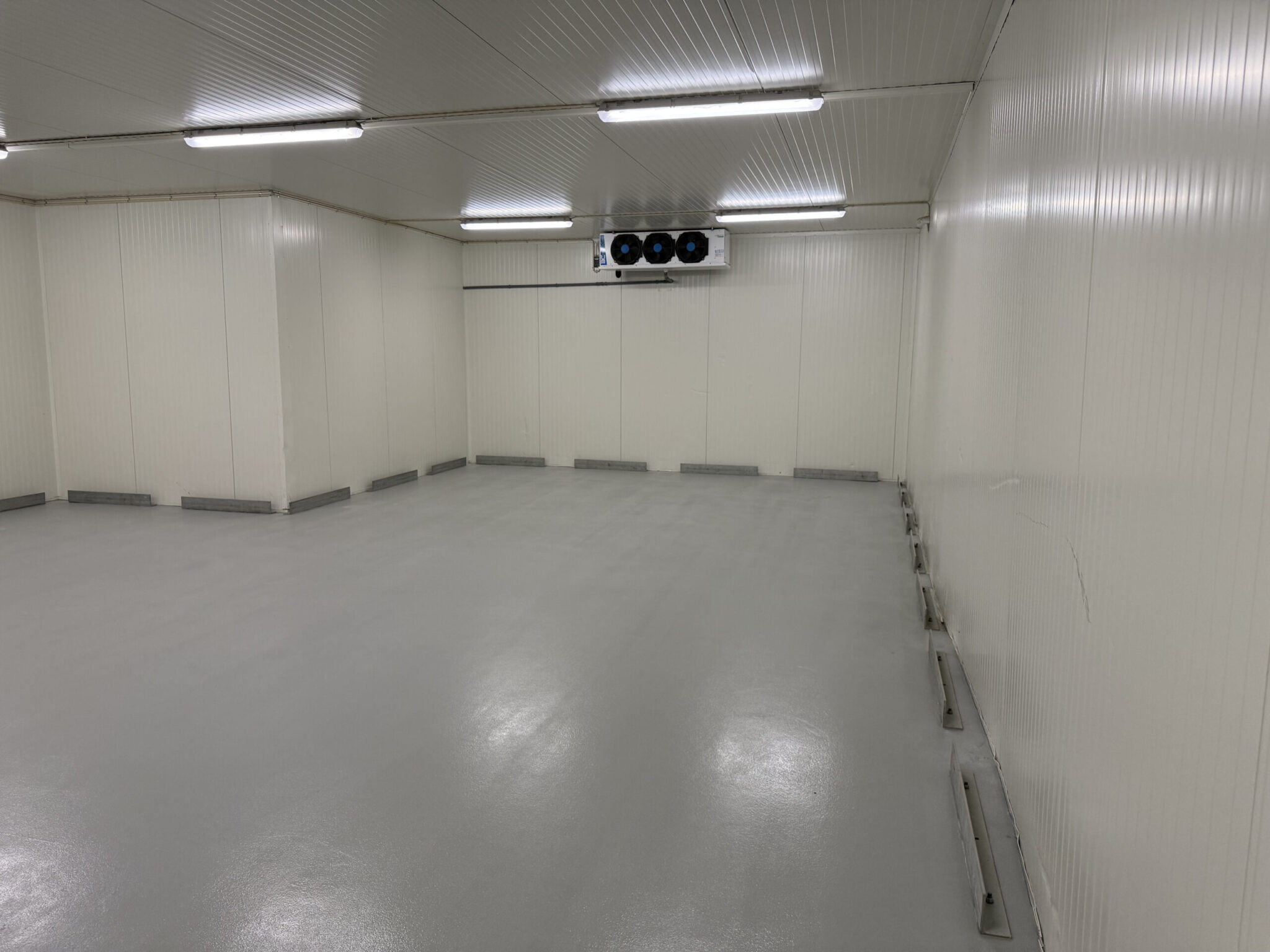 20250528_113258239_iOS-scaled